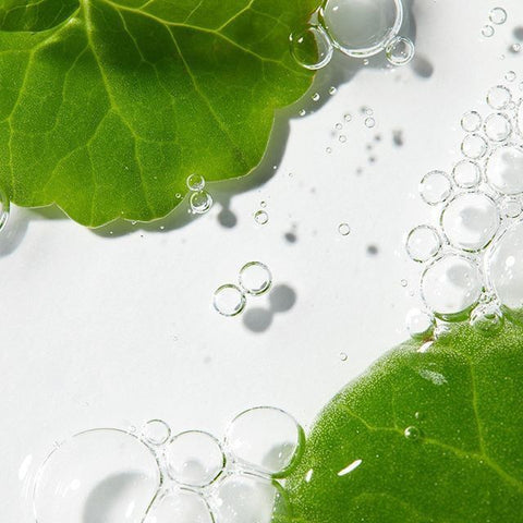 CENTELLA ASIATICA
