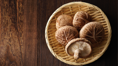 Comparaison AHCC versus Shiitake : Lequel choisir pour maximiser votre sante immunitaire ?