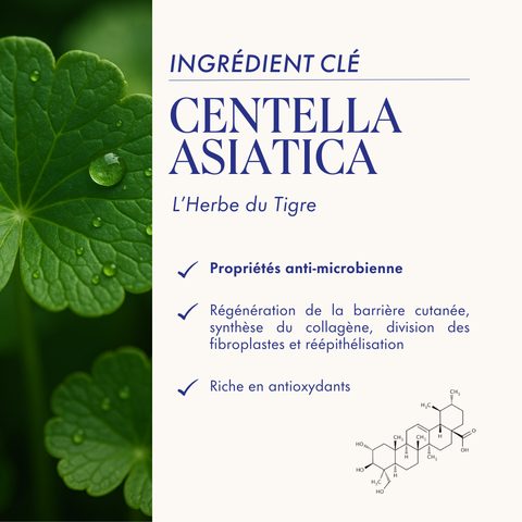 RÉGÉNÉRATION CELLULAIRE